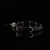 Pet-Play Paradise - Charming Pink Leather Collar with Canine Accents