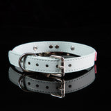 Pastel Playtime - Bone Charm & Bell Leather BDSM Collar