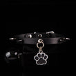 Shadow Paw - Spiked Black Leather BDSM Collar with Paw Charm