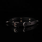 Shadow Paw - Spiked Black Leather BDSM Collar with Paw Charm