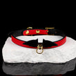 Scarlet Nocturne - Bat Winged Crimson Leather Collar