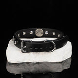 Sentinel's Vow - Studded Matte Black Leather O-Ring Collar