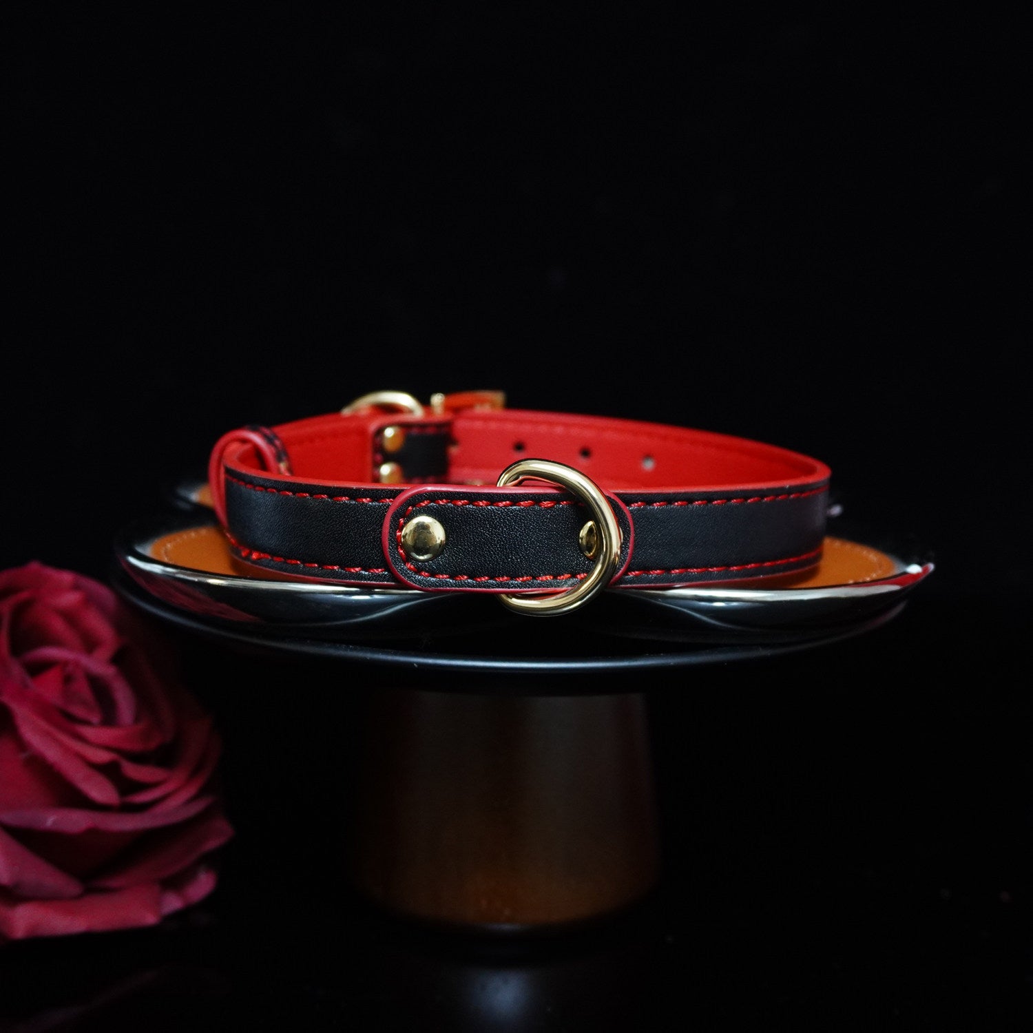 Sanguine Shadows - Contrast Stitched Leather Collar and Chain Leash