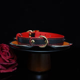 Sanguine Shadows - Contrast Stitched Leather Collar and Chain Leash