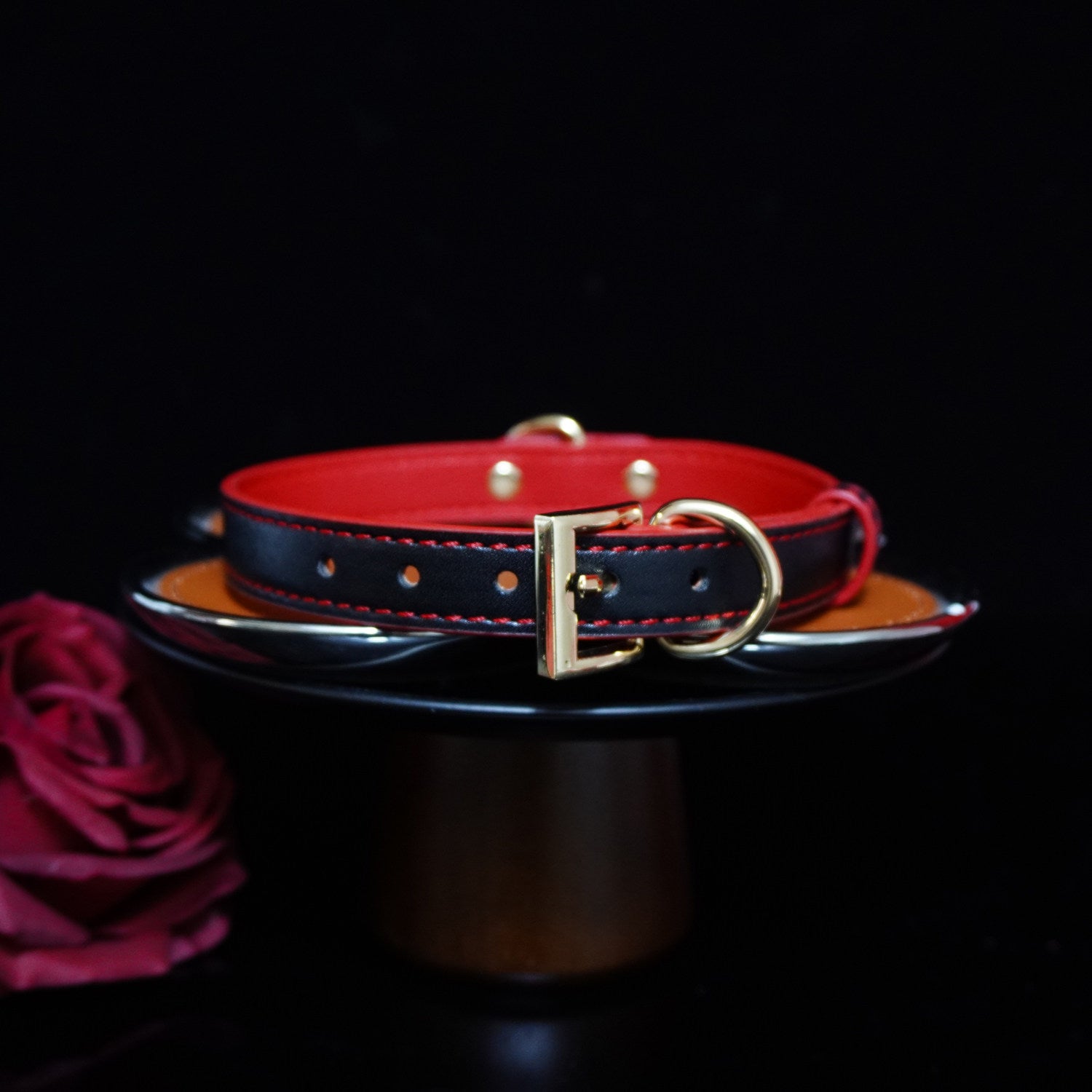 Sanguine Shadows - Contrast Stitched Leather Collar and Chain Leash
