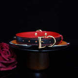 Sanguine Shadows - Contrast Stitched Leather Collar and Chain Leash