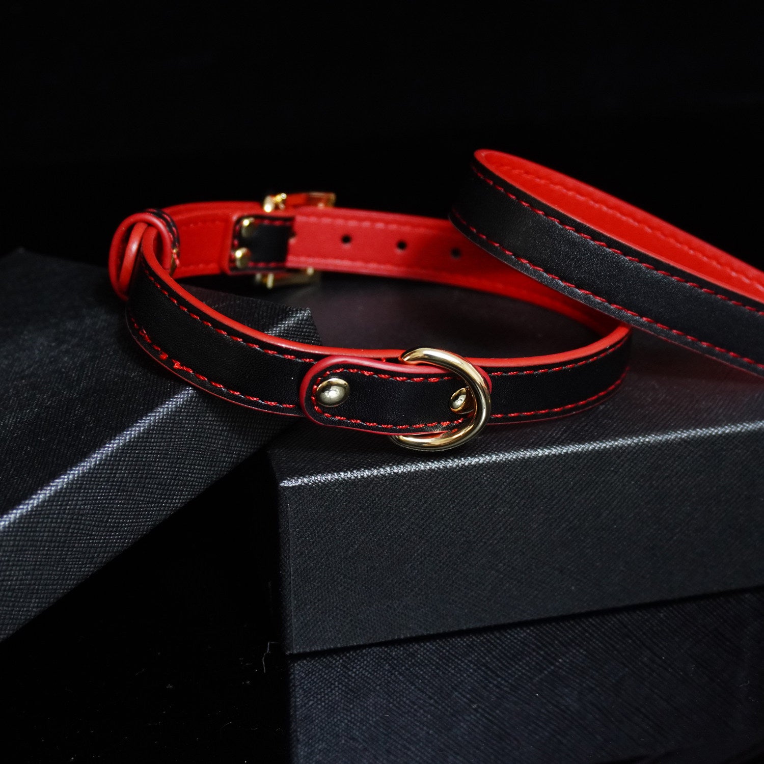 Sanguine Shadows - Contrast Stitched Leather Collar and Chain Leash