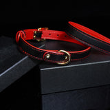 Sanguine Shadows - Contrast Stitched Leather Collar and Chain Leash