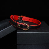 Sanguine Shadows - Contrast Stitched Leather Collar and Chain Leash