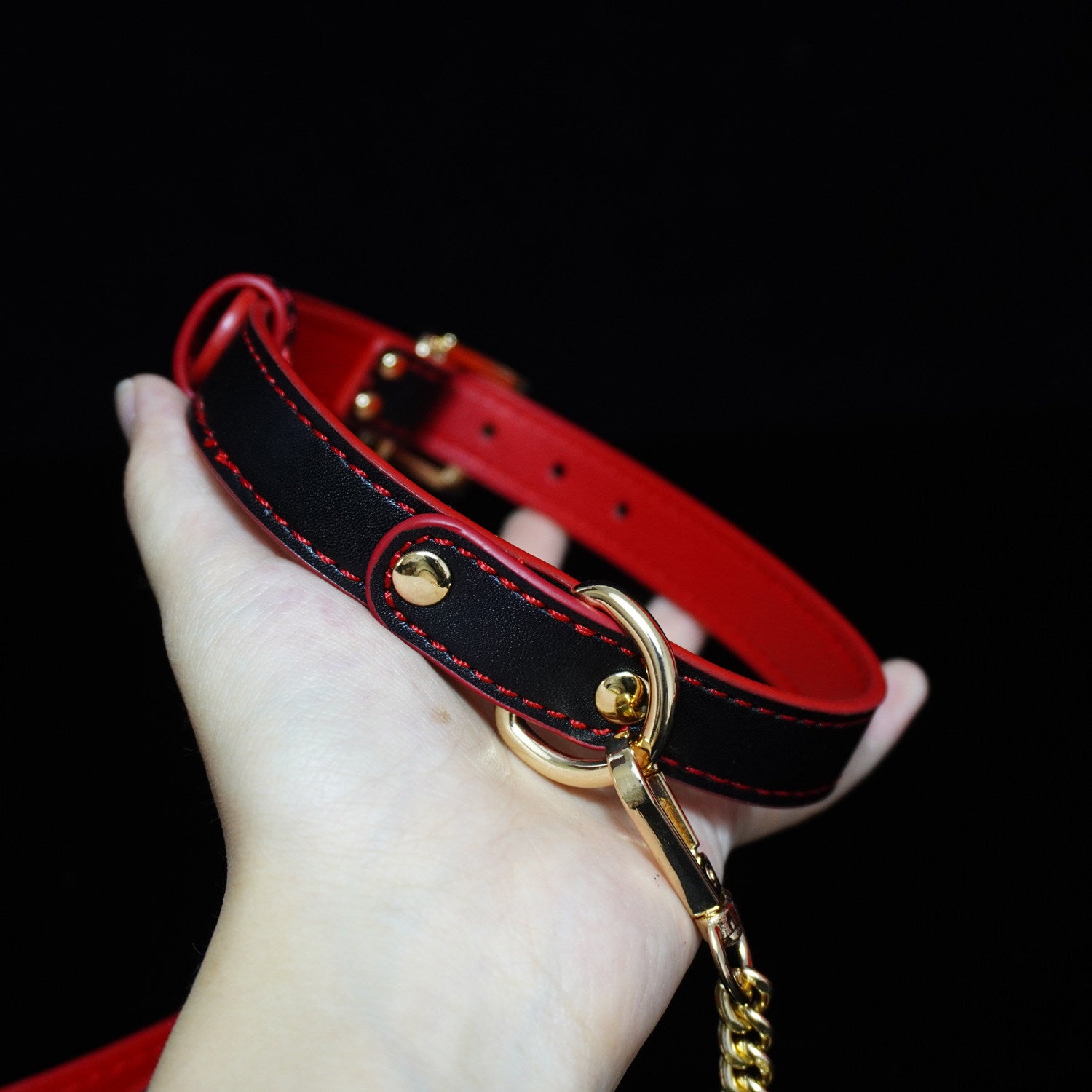 Sanguine Shadows - Contrast Stitched Leather Collar and Chain Leash